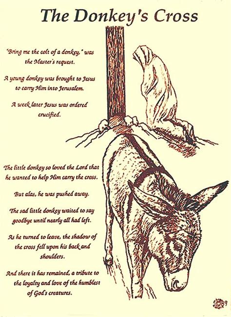 Animal poems Short animal poems for kids. . Donkey cross on back poem